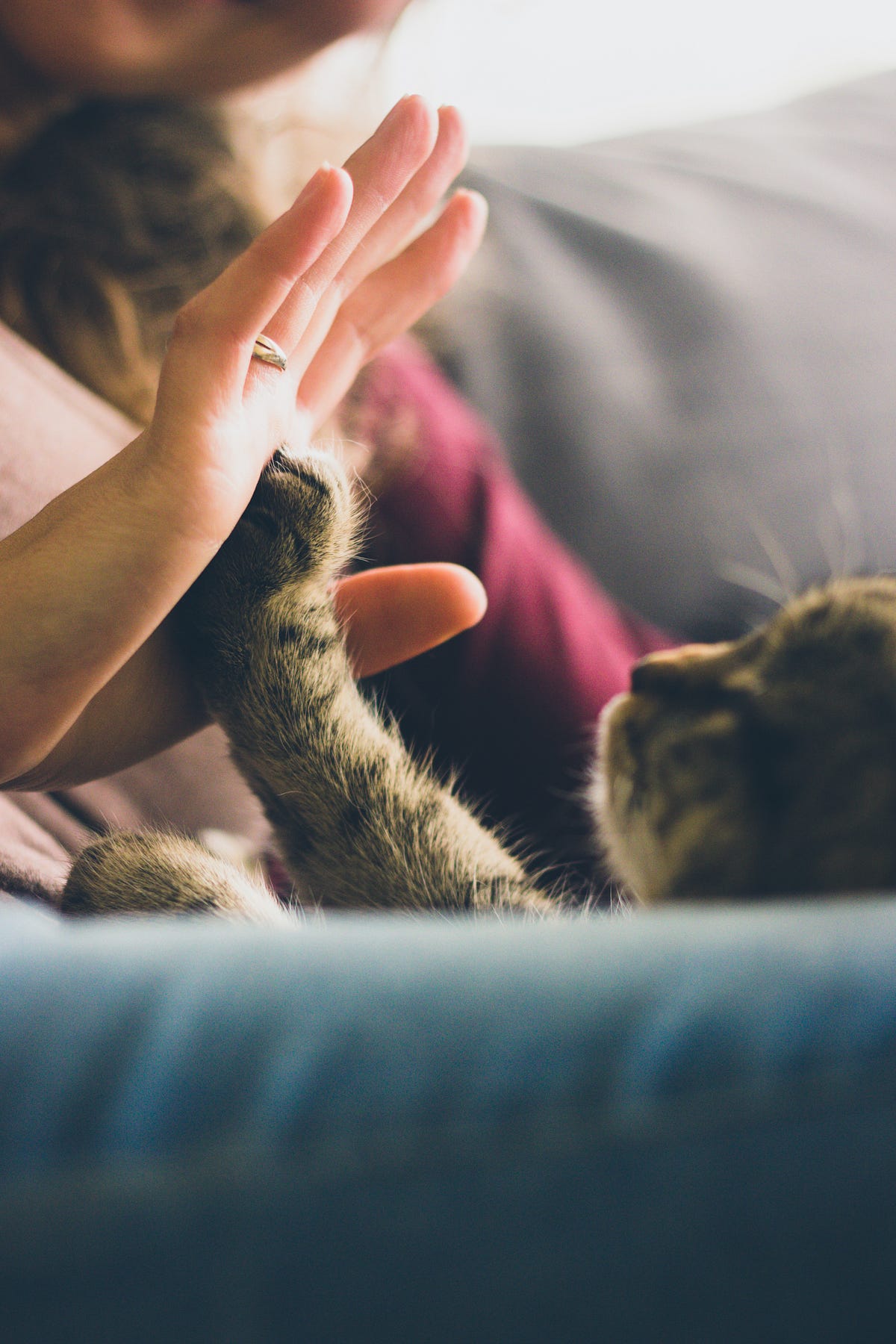 10 Small Things That Make A Big Impact | by Christian Helms ️ | Medium