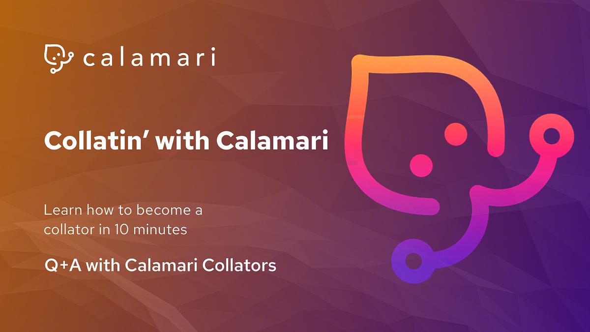 Collatin’ with Calamari