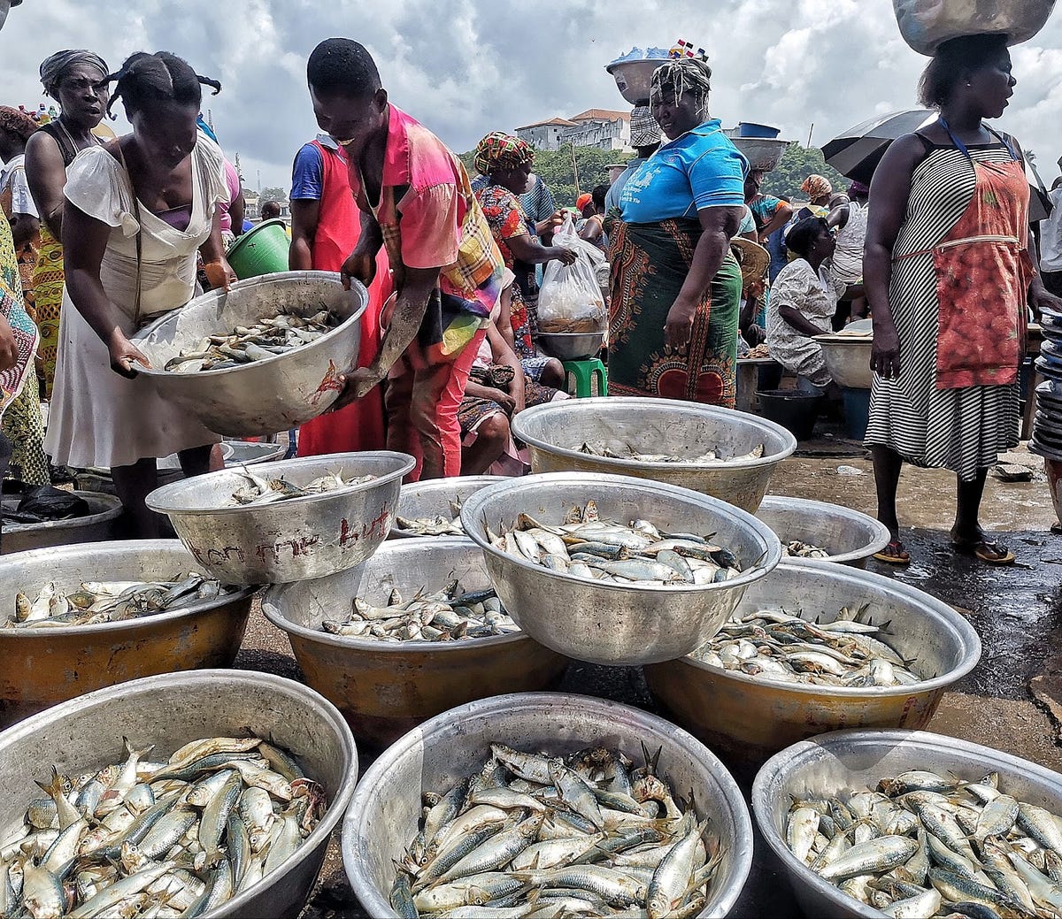 bigger-fish-to-fry-curbing-illegal-fishing-in-ghana-for-by-usaid