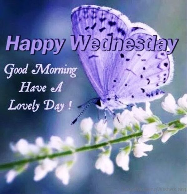 Happy Wednesday Quotes And Saying Facebook Whatsapp Status By Greetings Mag Medium