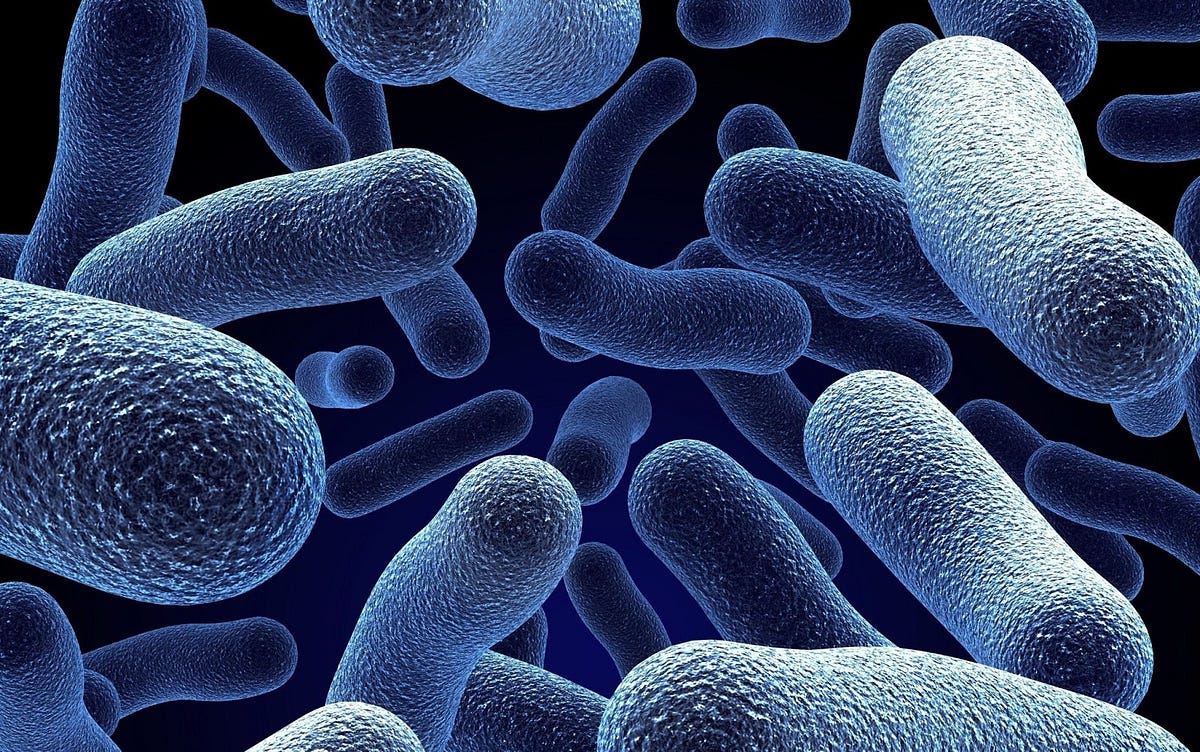 Microbial Surveillance: How It Works & Why It’s Important