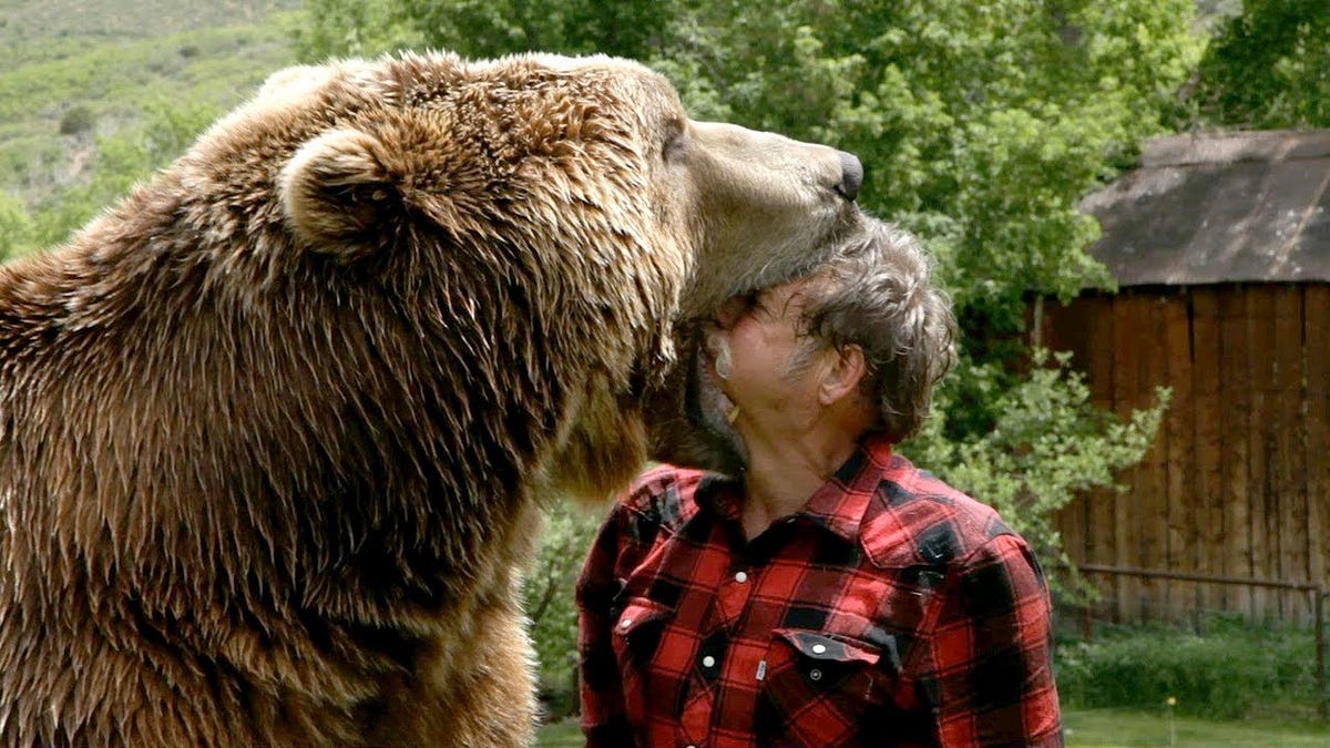Six of History’s Deadliest Bear Attacks by The Storyteller Lessons from