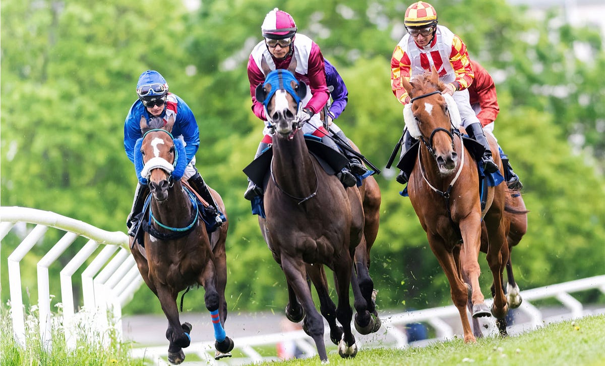 Who Is Hugh Taylor Hugh Taylor A Most Successful Horse By The Tipster League Medium