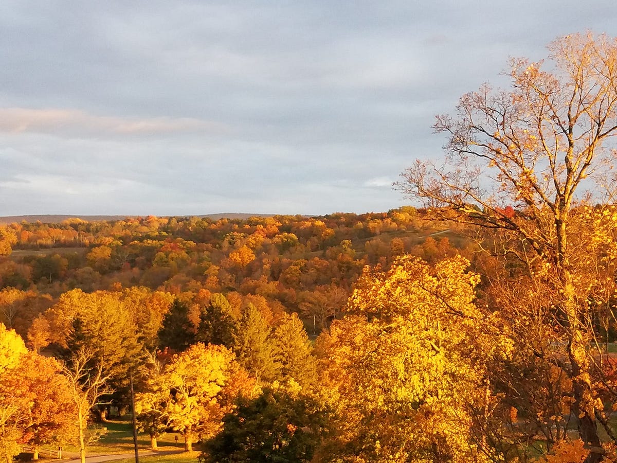 Let me give you a glimpse into a writer’s retreat. | by Carol Schoenig ...