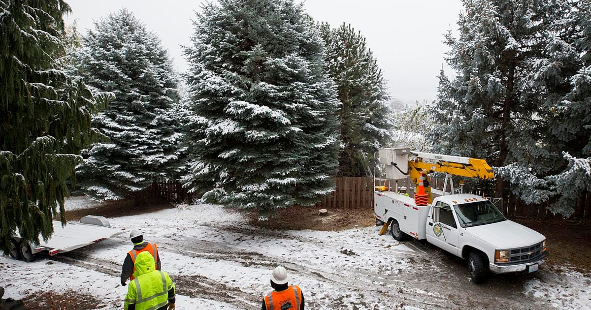 An early season’s greeting — East Wenatchee’s Christmas tree moved to