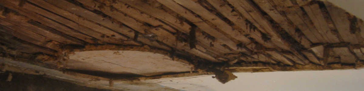 How To Repair Lath And Plaster Ceilings 10 Different Ways