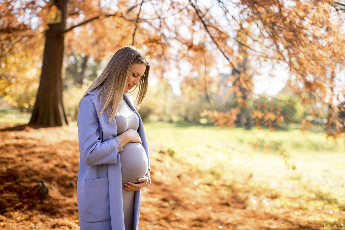 Why Should You Attend in a Pregnancy Training? 