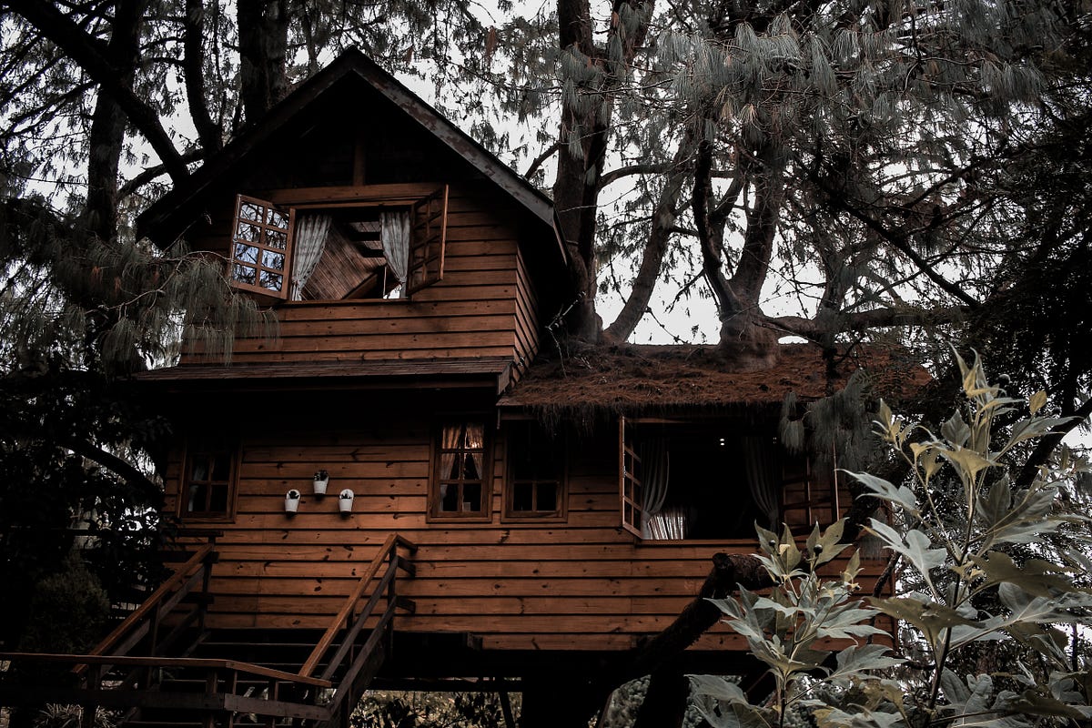Advent of Code 2022 Day 8 Solution Treetop Tree House by Ashley