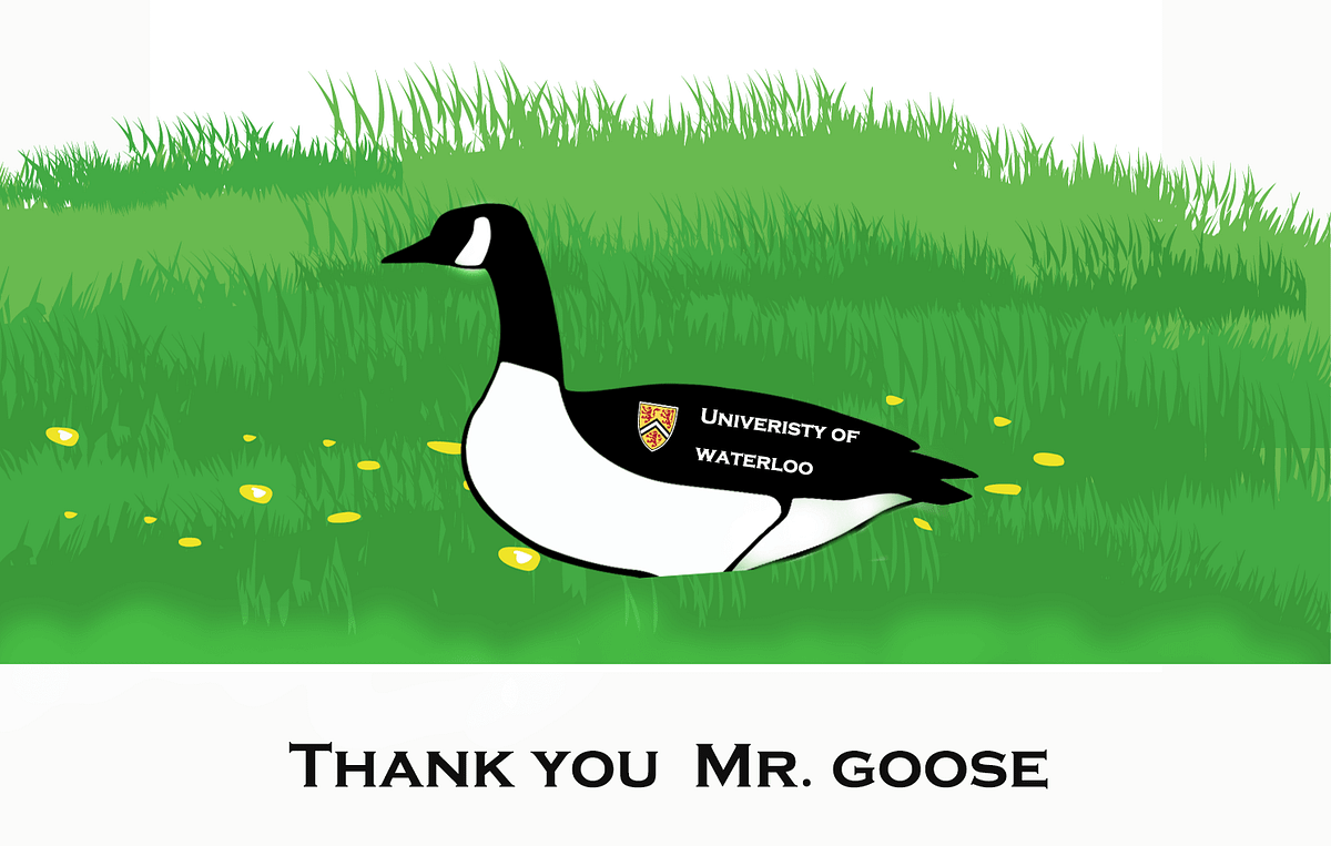 Odds and Geese — Waterloo Exchange (Canada) | by Mingyu Liu | Medium