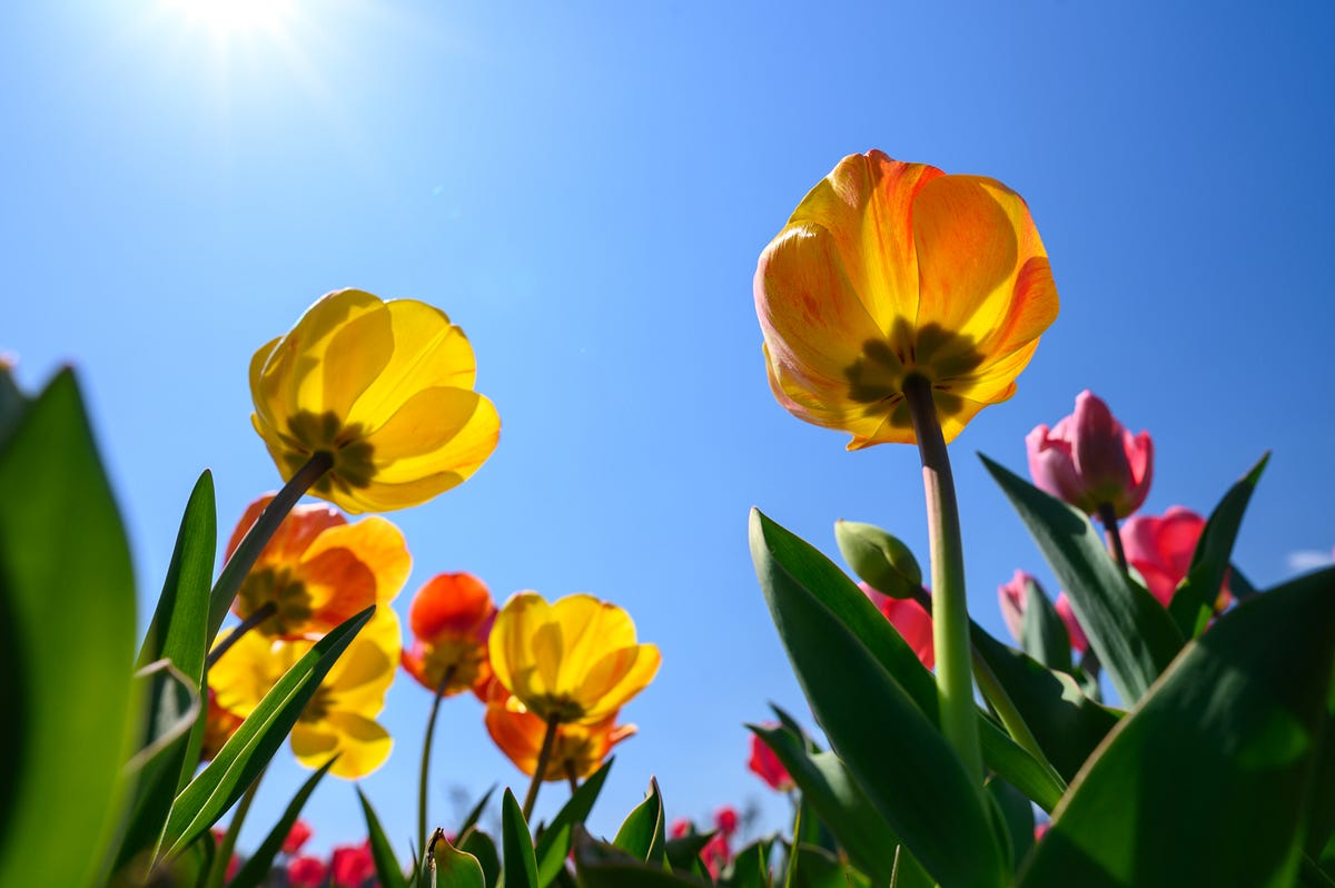 different-ways-to-validate-requests-spring-webflux-routerfunctions