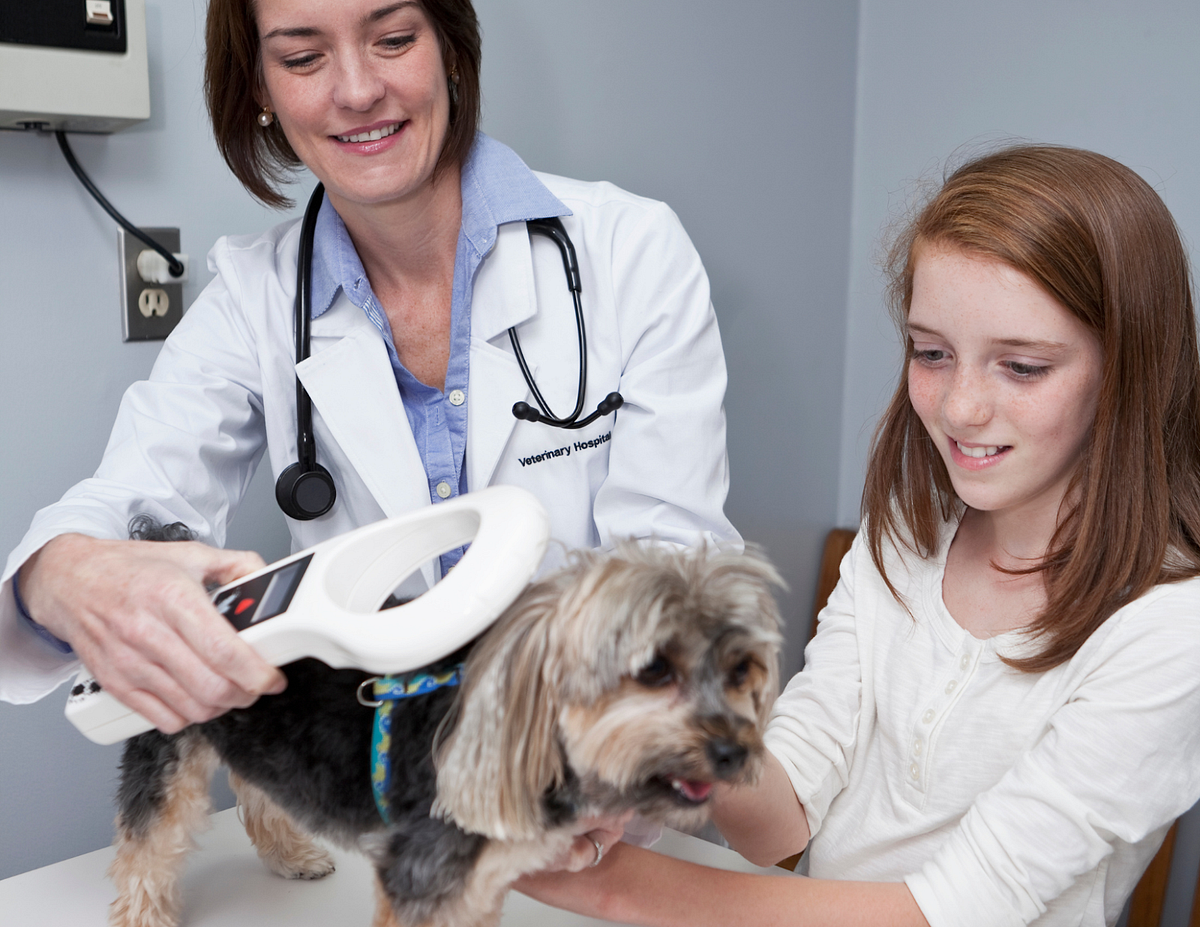 Microchipping 101: Why You Should Get Your Pet Microchipped