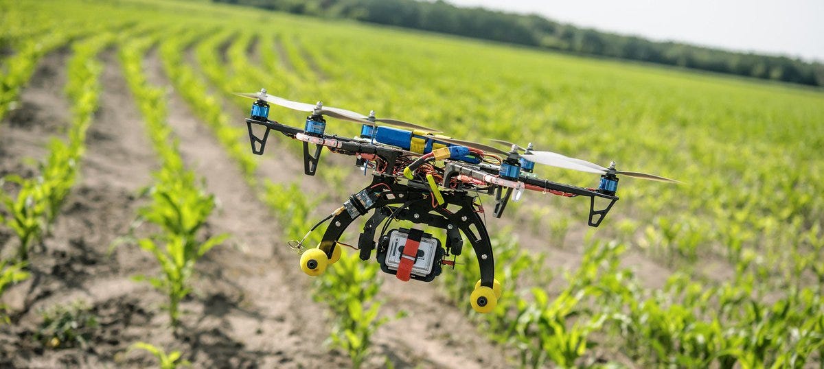 These Drones Could Help Restore the Earth's Forests | by Pranav Bansal |  TechTalkers
