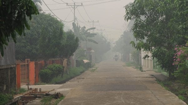 In Year Of El Nino New Uses Of Big Data Can Aid Disaster