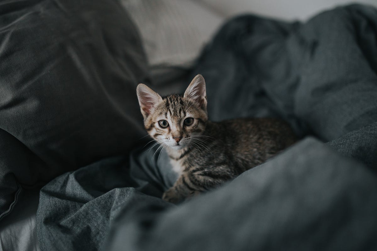 React Tips Clicks Watching Widths Custom Links By John Au Yeung