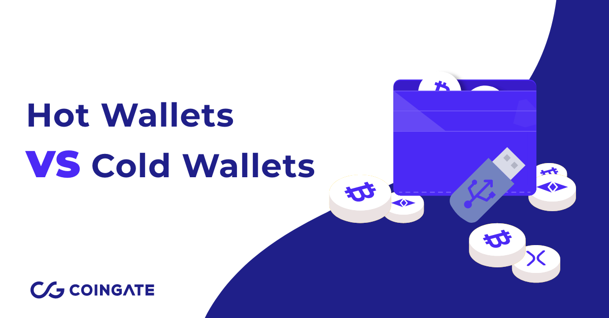 Hot Wallet Vs Cold Wallet What S The Difference By Coingate Medium