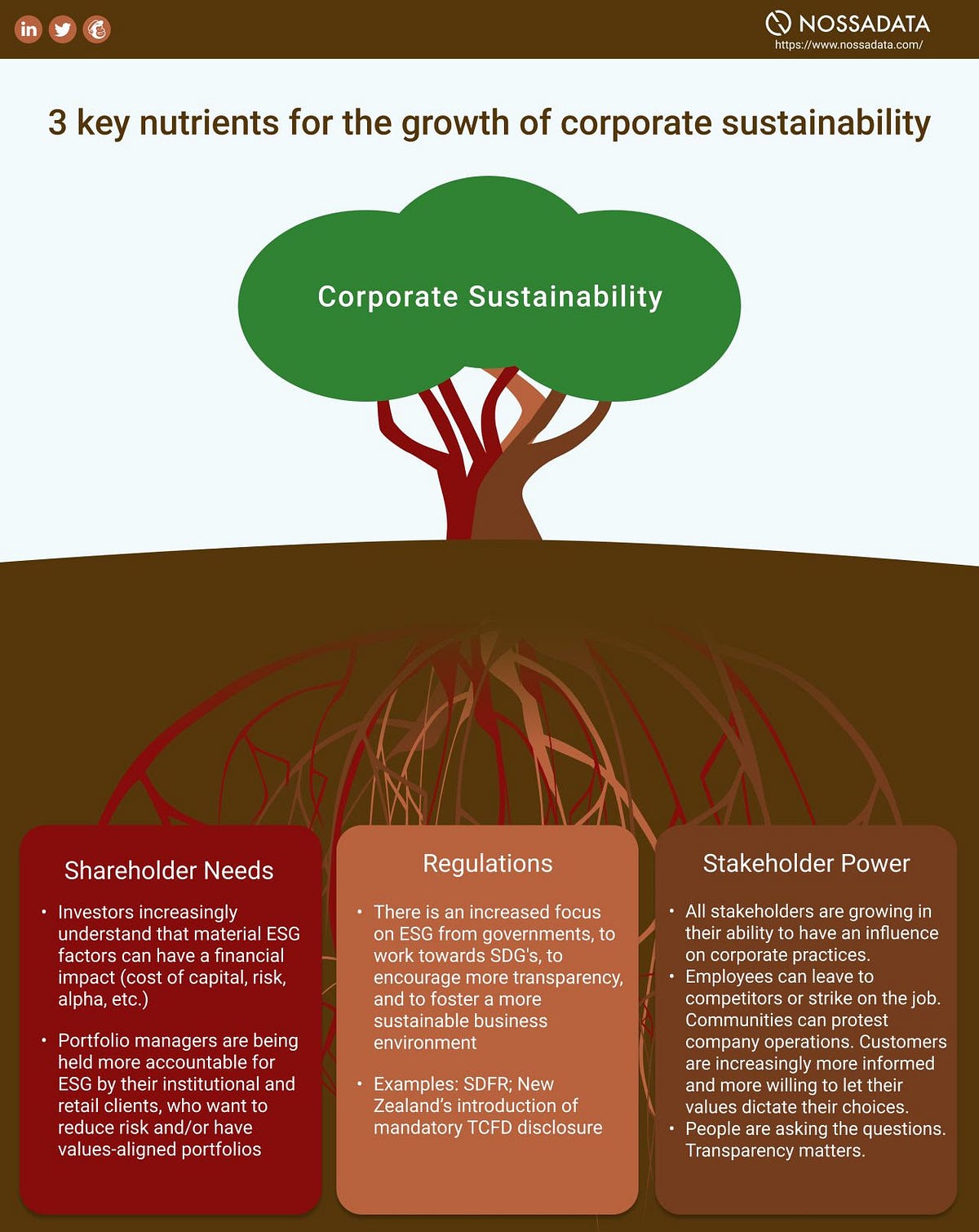 Black rock essay 06 picture