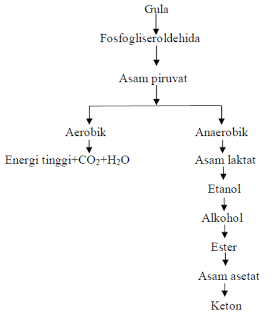 Proses fermentasi dengan bantuan bakteri