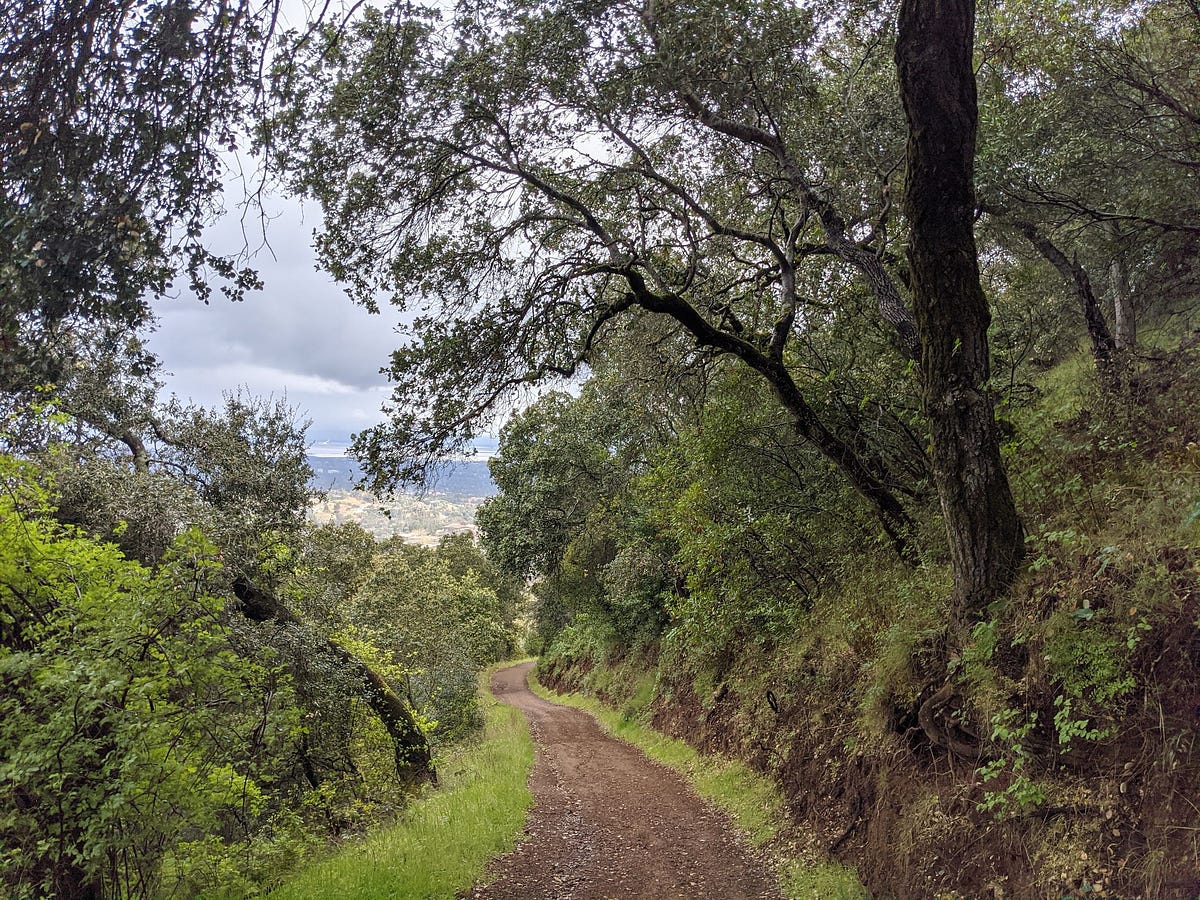 Generative Model Vs Discriminative