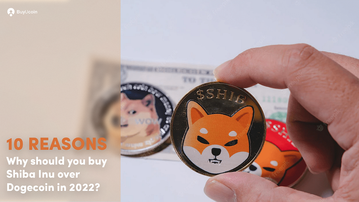 10 reasons to buy Shiba Inu in 2022 — BuyUcoin