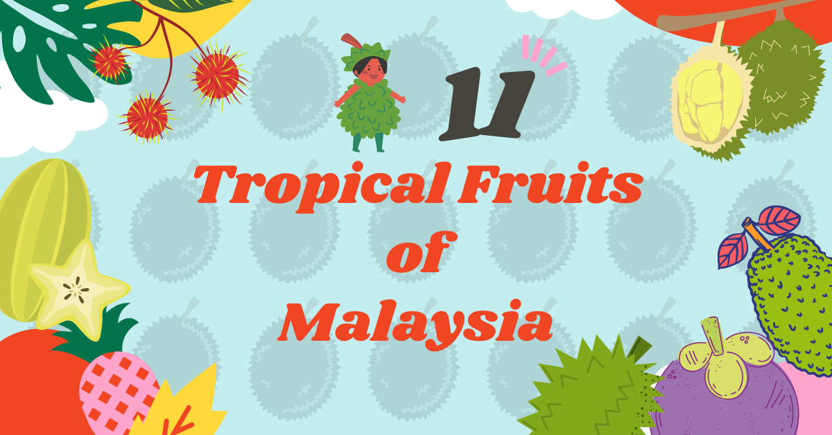 Tropical Fruits Of Malaysia Introducing 11 Fascinating Fruits By Ling Learn Languages Medium