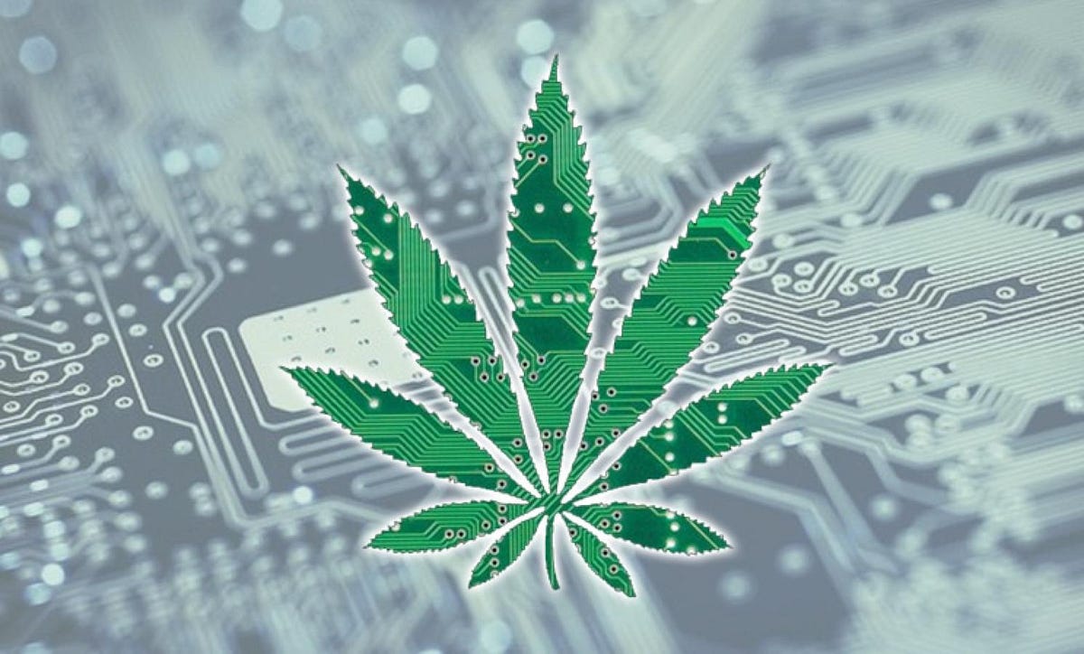 How Technology Has Shaped The Cannabis Industry