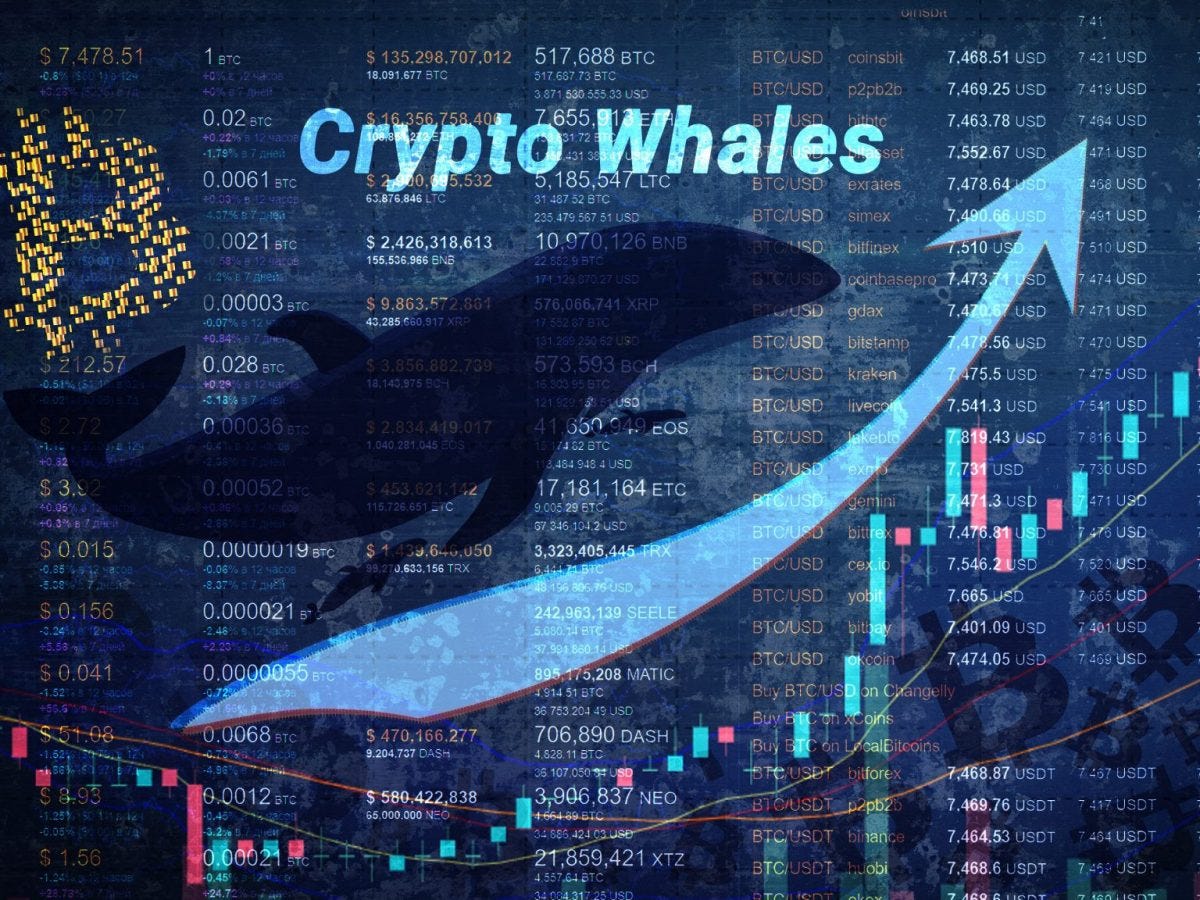 bitcoin whale accumulation