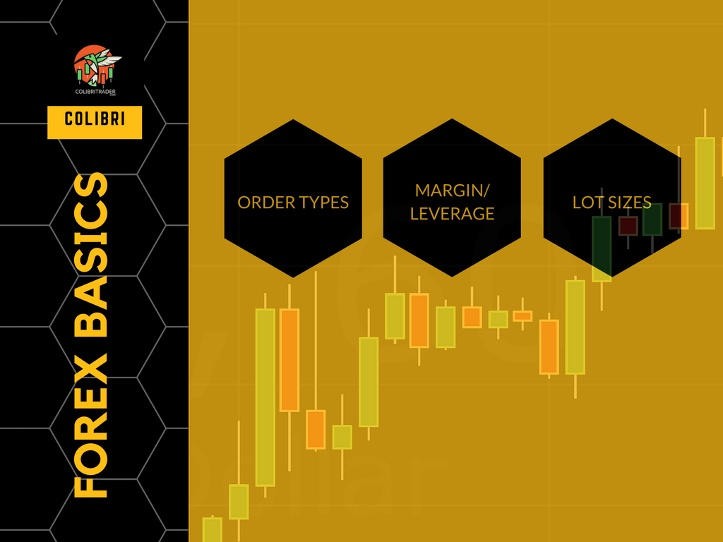 Forex Basics Order Types Margin Leverage Lot Size - 