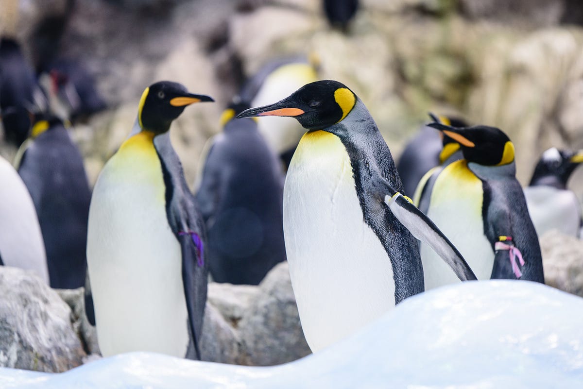 Can You Install Linux Without A Usb