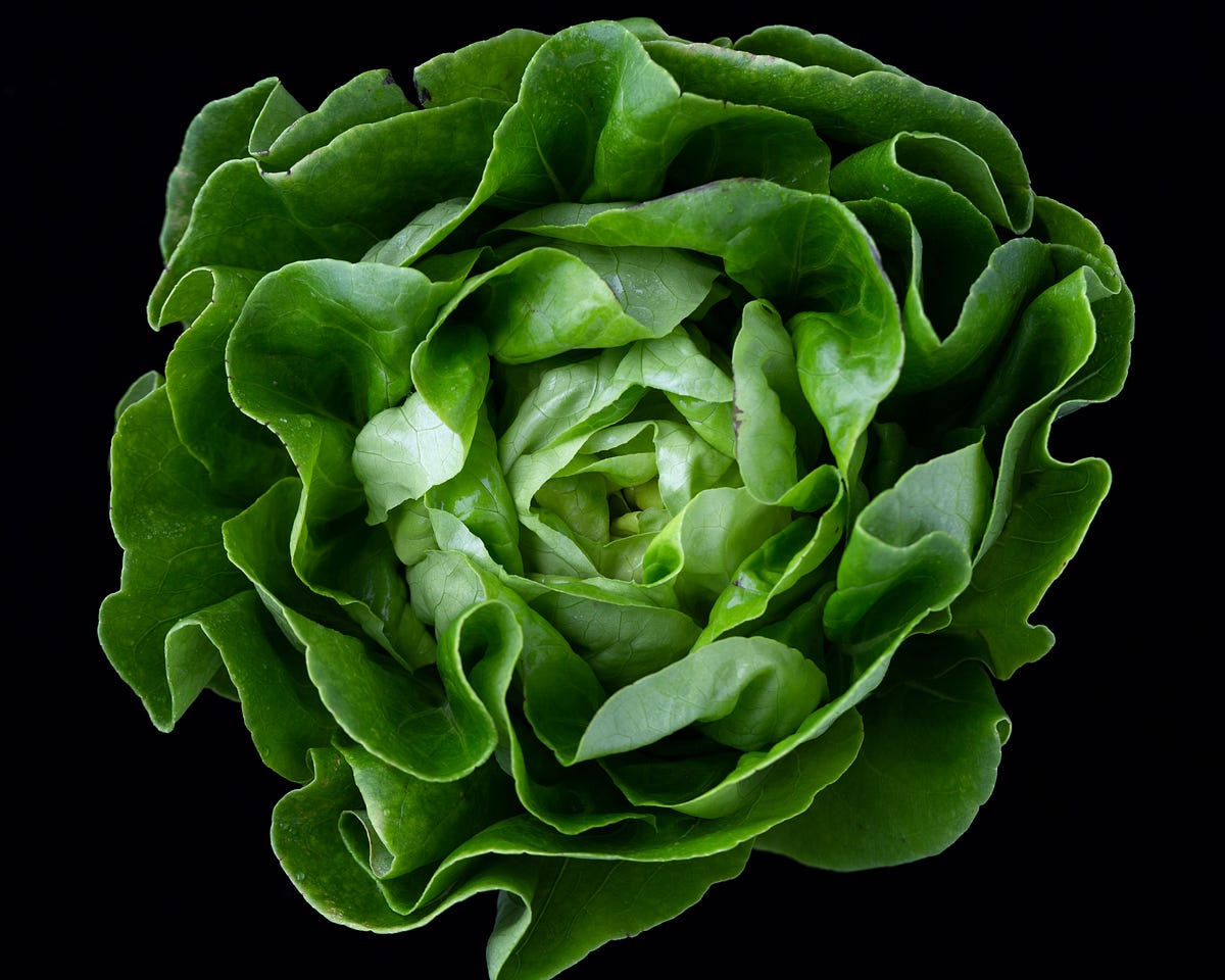 Thallium Toxicity And Cruciferous Vegetable Consumption Medical Myths 