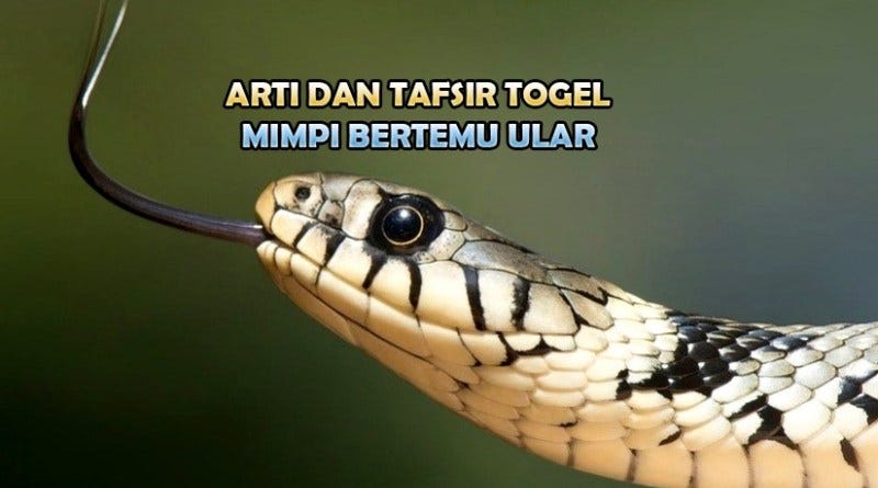 ♙ Arti mimpi ketemu ular kobra togel