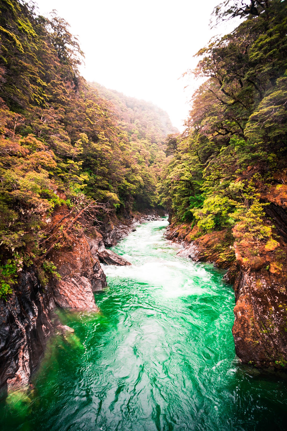 From Humble Beginnings Comes The River Of Life | by Selma | Blue ...