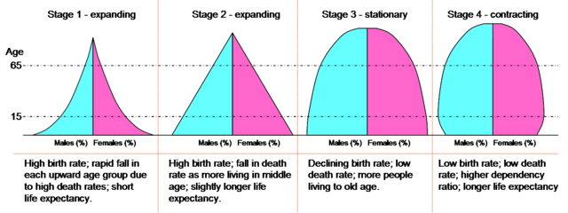 Fun With Population Pyramids I Was Scouring The Web Looking For Fact By Five Guys Five Guys Facts Medium Fun With Population Pyramids I Was Scouring The Web Looking For Fact By Five Guys Five Guys Facts Medium