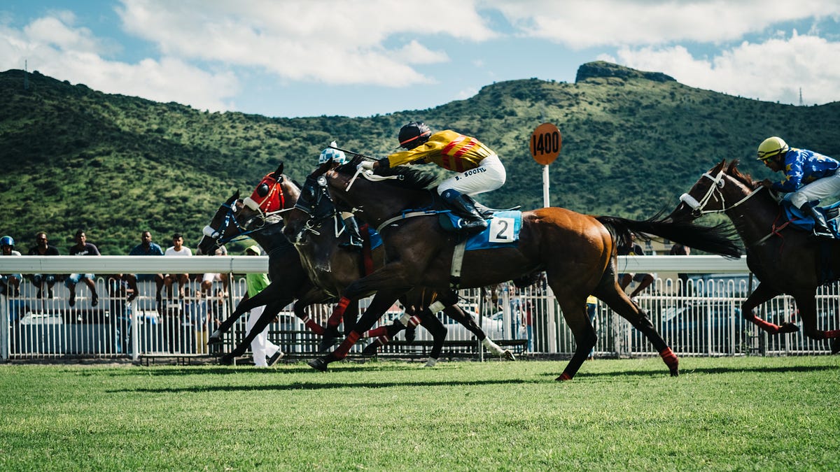 How Machine Learning could help on Horse Racing Betting