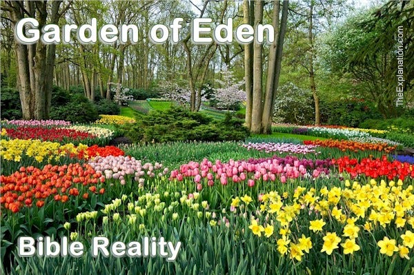 Garden Of Eden Represents Much More Than A Garden The