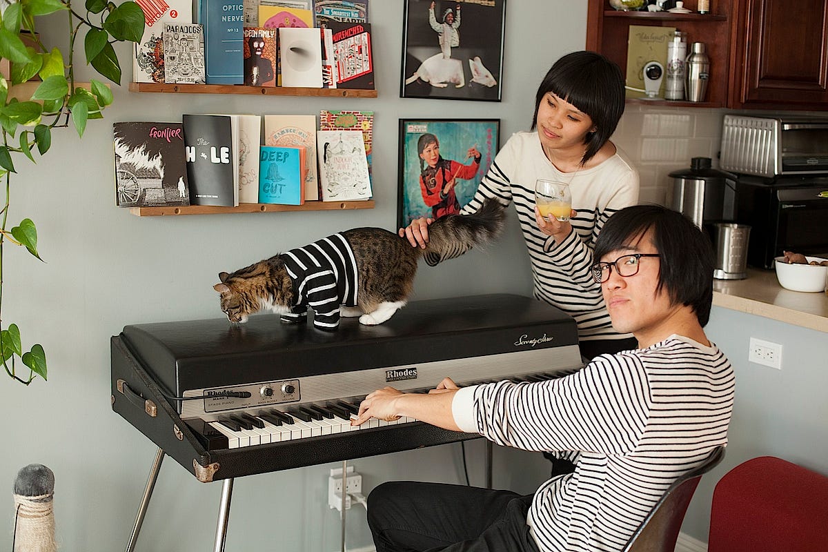 cat and owner matching outfits