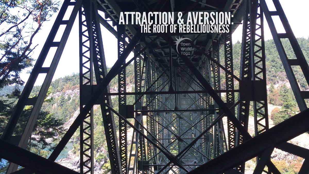 attraction-aversion-the-root-of-rebelliousness-by-chris-pritchard