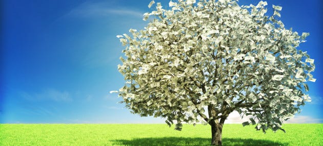Uncovered The Magical Money Tree Pmp Magazine Readers - 