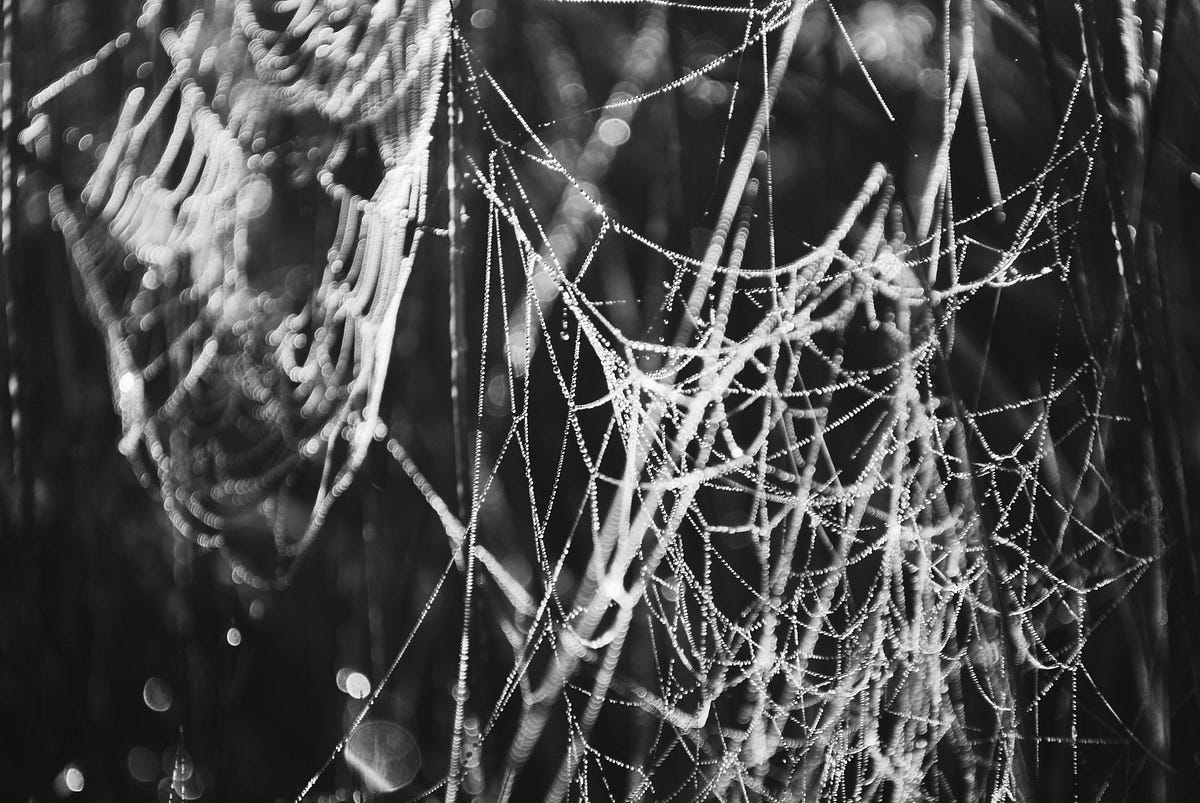 Cobwebs and Dust Lifeline Medium