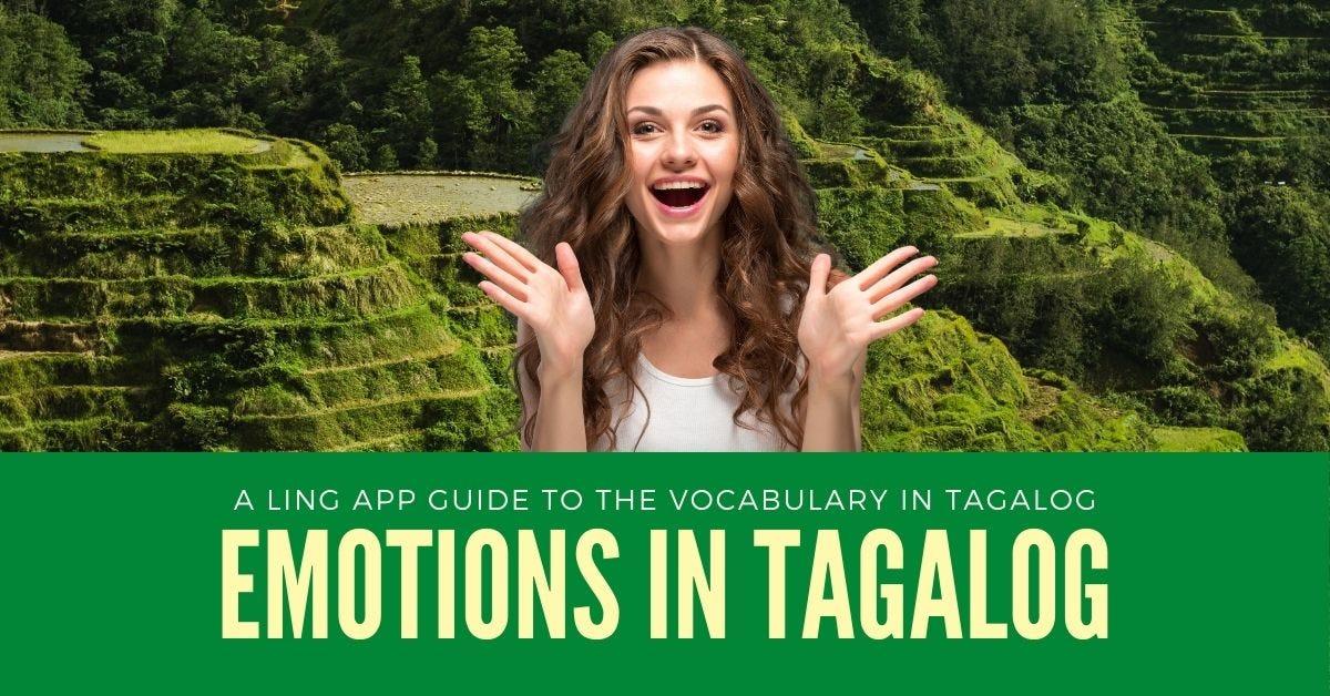 Moods And Emotions In Tagalog 100 Easy Words by Ling Learn Languages