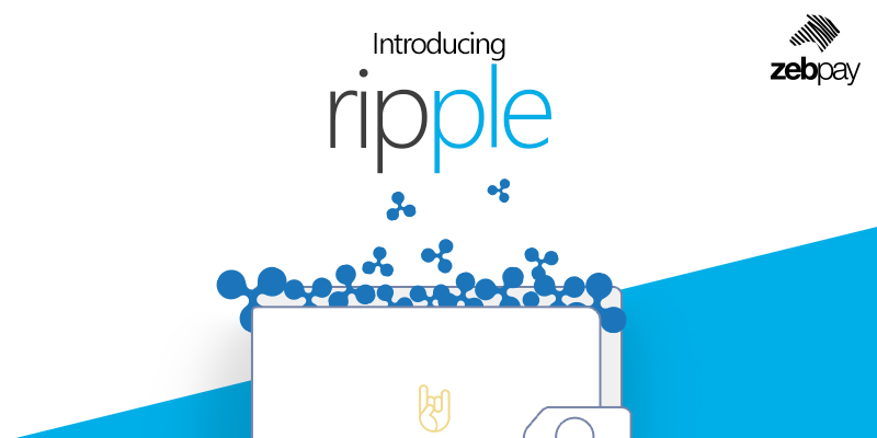 Introducing Ripple On Zebpay Zebpay - 