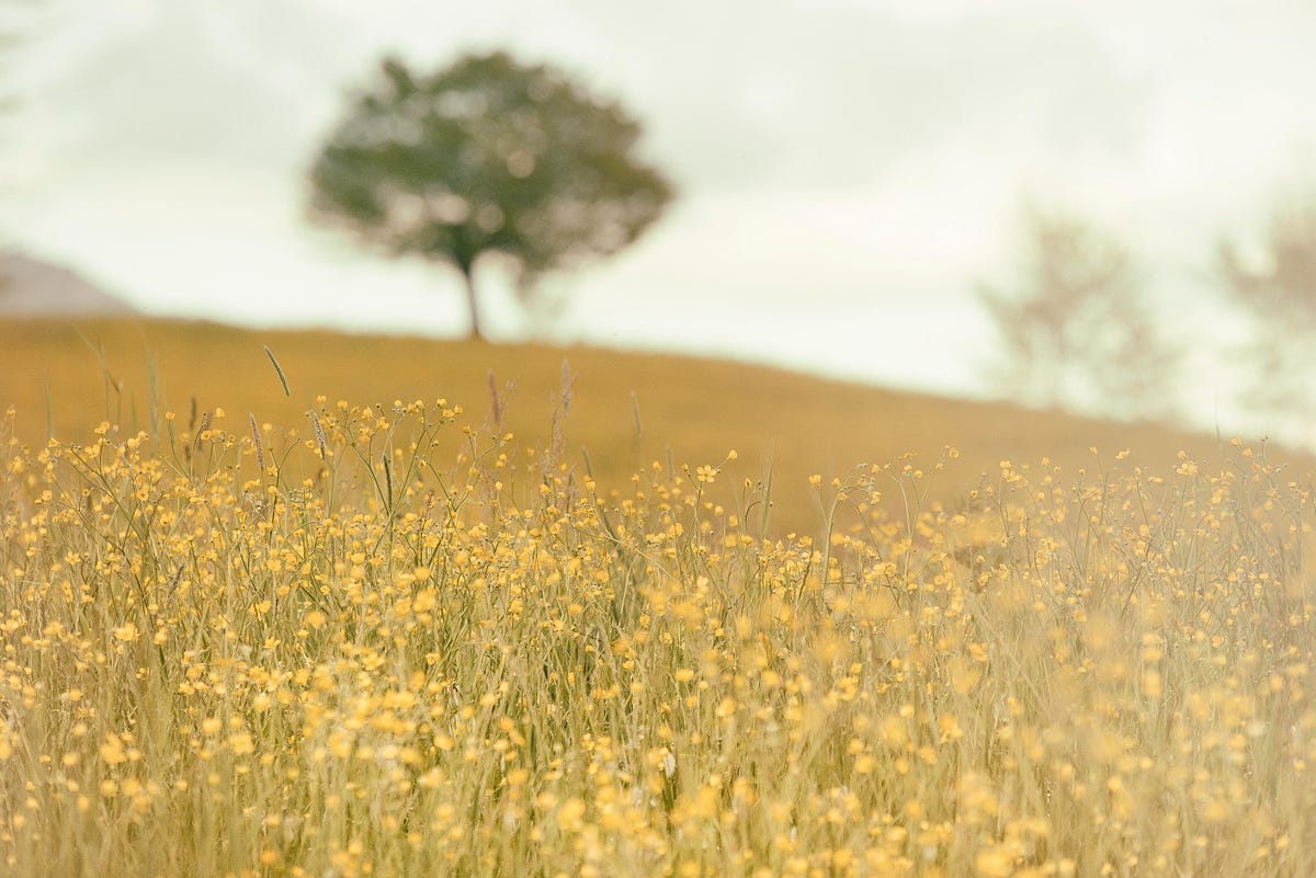 5 Reasons Why Meditation Will Change You Better Advice