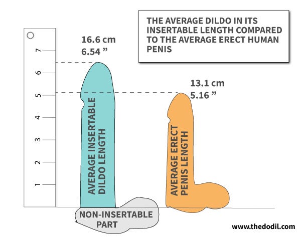 Cm penis 13 What Is