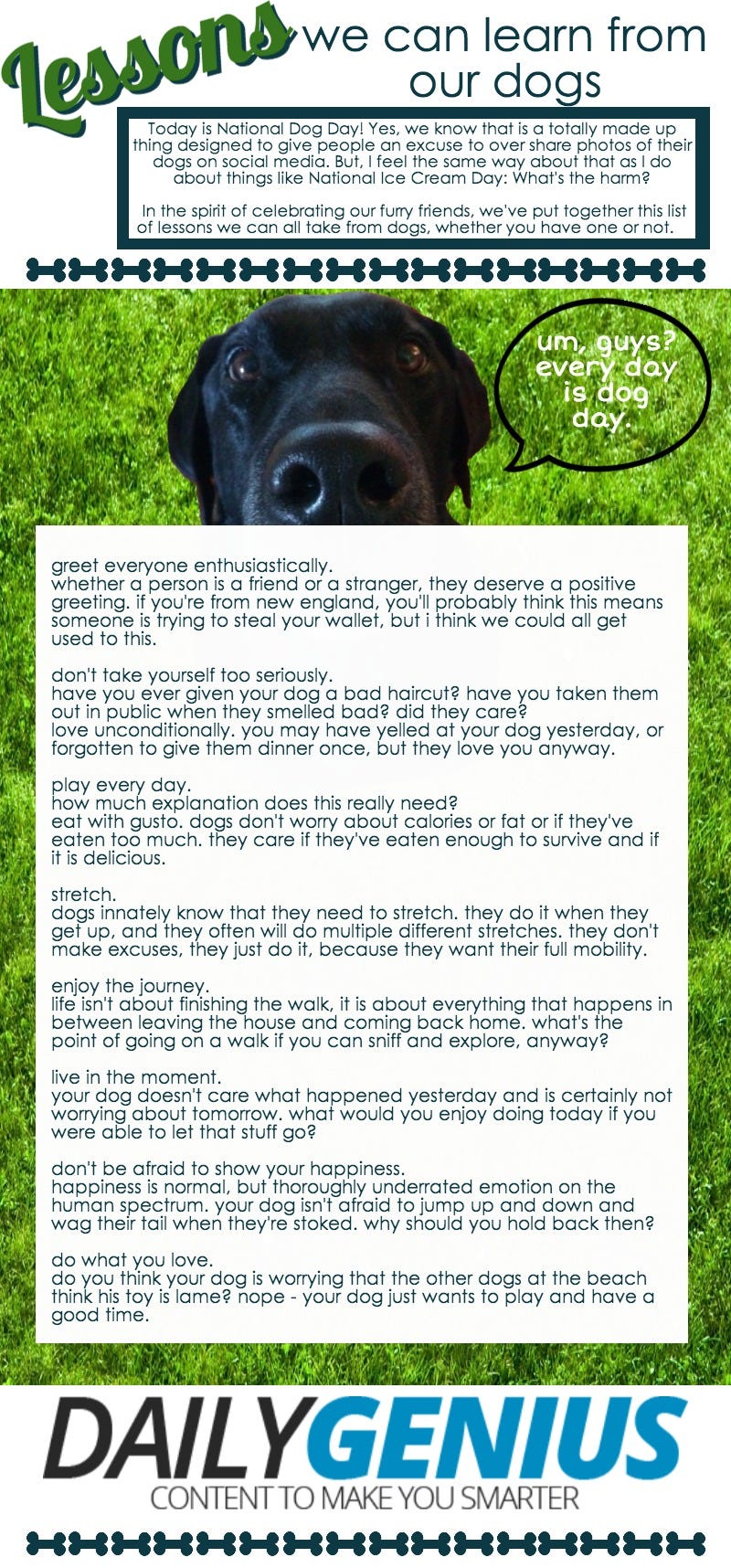 It S National Dog Day Here Are 9 Things Dogs Can Teach You By Jeffrey Dunn Medium