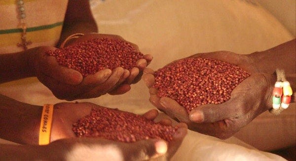 Focus on women. How the WFP is working to achieve Zero… | by A ...