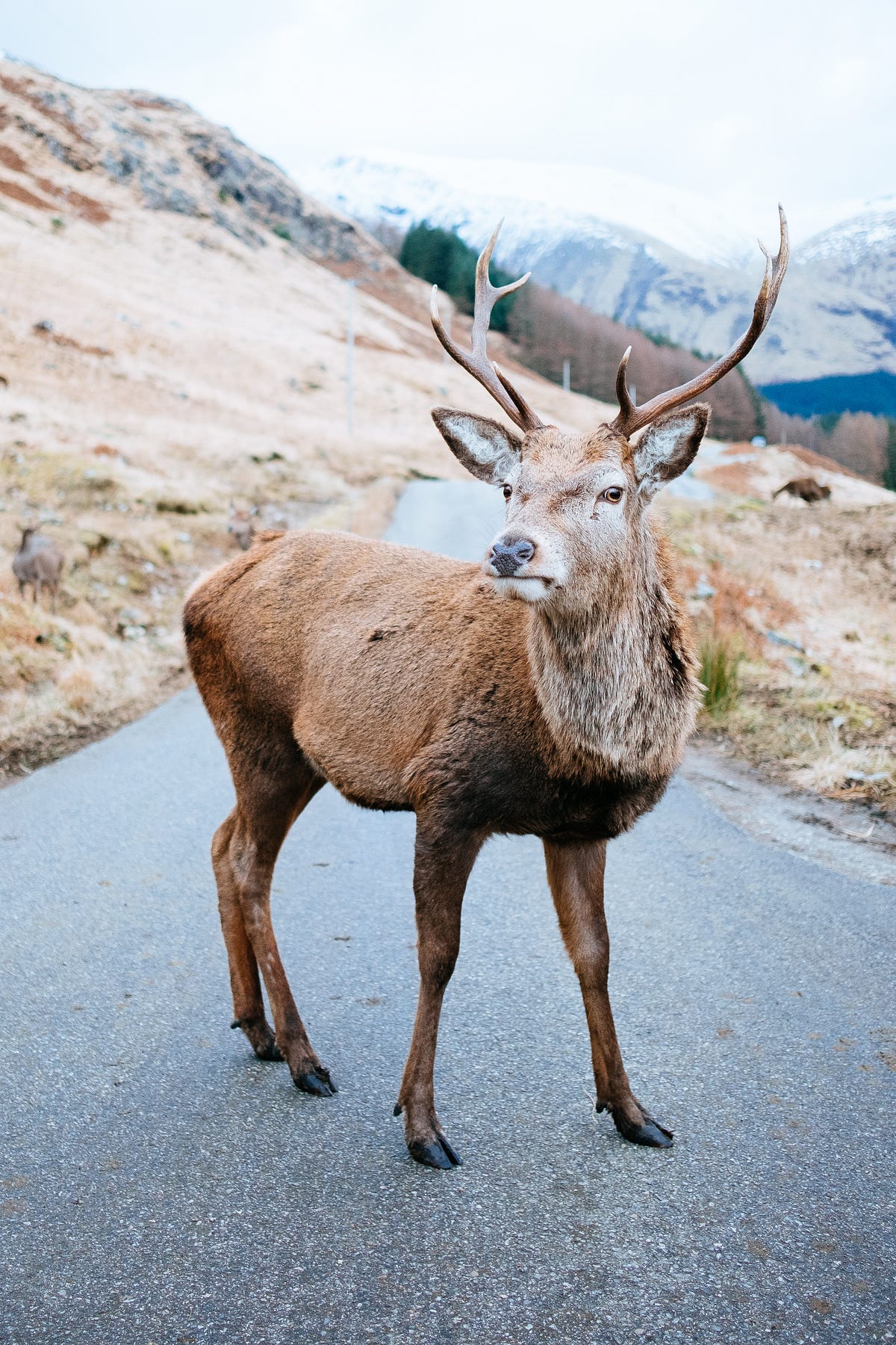 When Life Throws Roadblocks In The Way Of Your Goals By Lisa Olsen The Ascent Medium