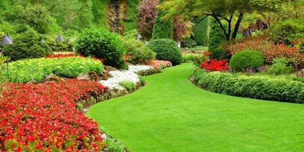 residential lawn care