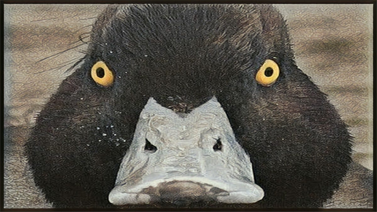 Does This Picture Scare You? If so, You May Have This Phobia! by Joe