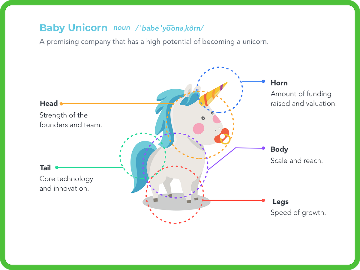 5 things you should always look for in a Baby Unicorn by Leap.ai