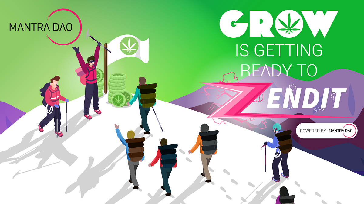 GROW FLASH ZENDIT: Announcement + Participation & Pool Details