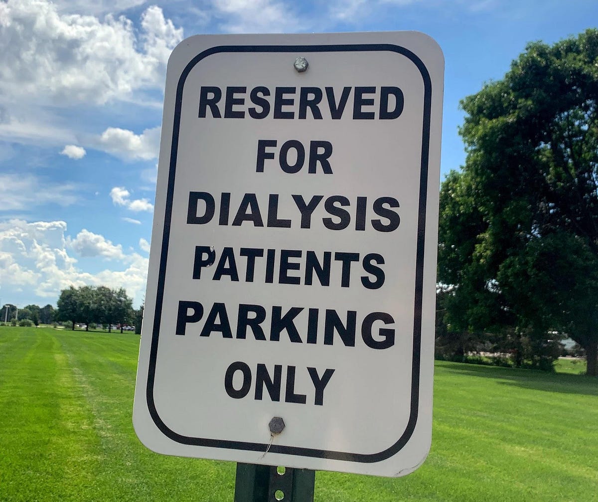 wtf-do-you-mean-i-have-stage-3a-kidney-disease-by-lynda-wallis-the